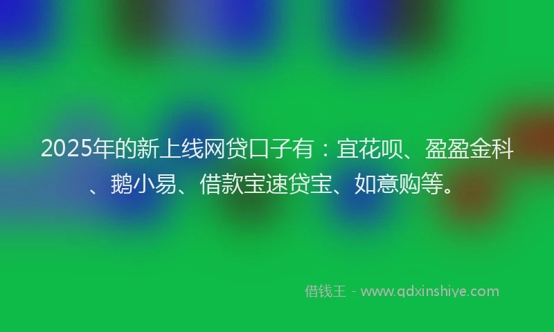 2025年的新上线网贷口子有：宜花呗、盈盈金科、鹅小易、借款宝速贷宝、如意购等。