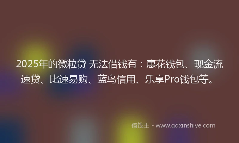2025年的微粒贷 无法借钱有：惠花钱包、现金流速贷、比速易购、蓝鸟信用、乐享Pro钱包等。