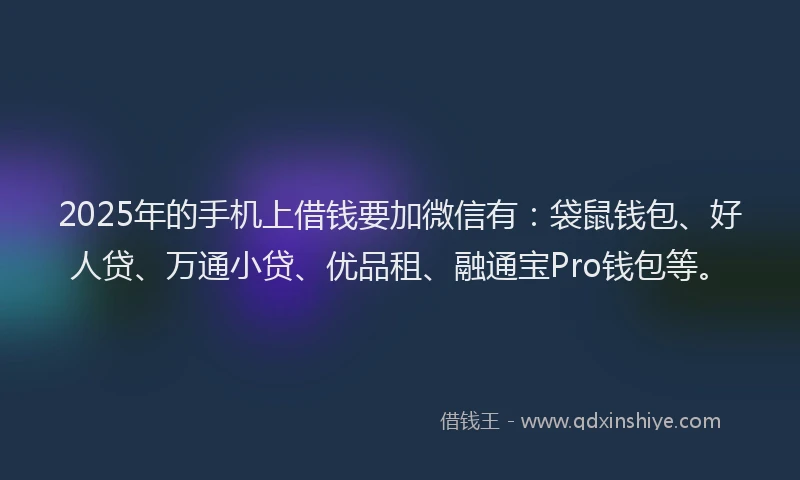 2025年的手机上借钱要加微信有：袋鼠钱包、好人贷、万通小贷、优品租、融通宝Pro钱包等。