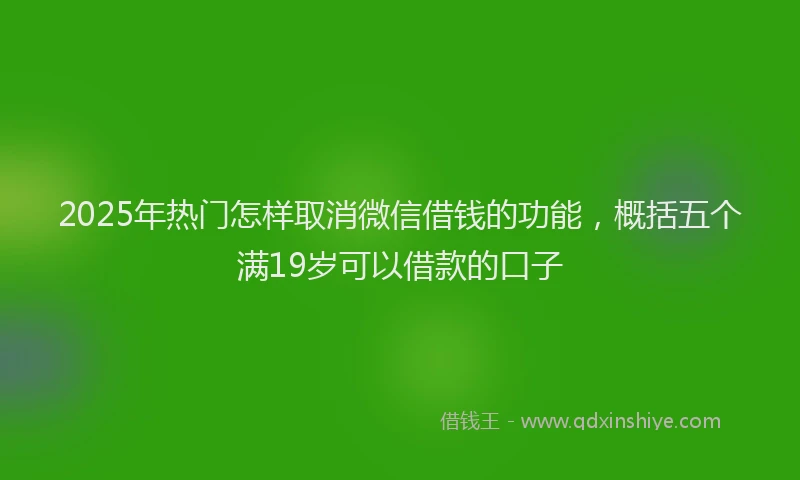 2025年热门怎样取消微信借钱的功能，概括五个满19岁可以借款的口子