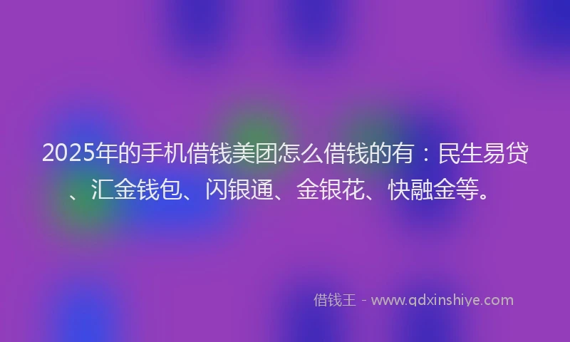 2025年的手机借钱美团怎么借钱的有：民生易贷、汇金钱包、闪银通、金银花、快融金等。