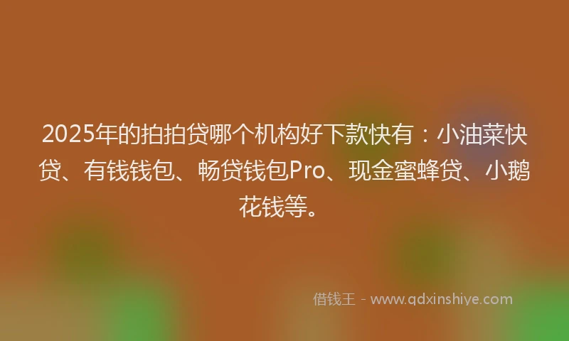 2025年的拍拍贷哪个机构好下款快有：小油菜快贷、有钱钱包、畅贷钱包Pro、现金蜜蜂贷、小鹅花钱等。