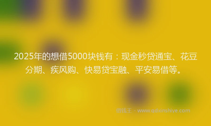2025年的想借5000块钱有：现金秒贷通宝、花豆分期、疾风购、快易贷宝融、平安易借等。