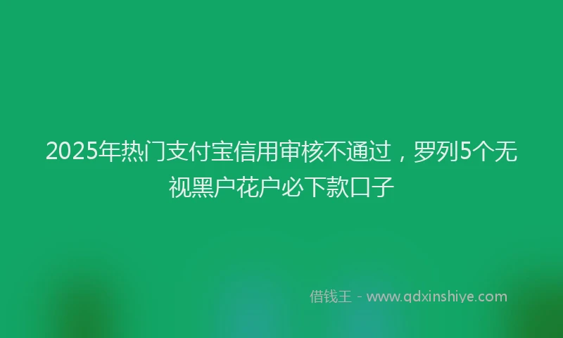 2025年热门支付宝信用审核不通过，罗列5个无视黑户花户必下款口子