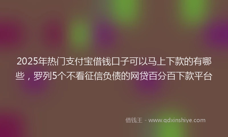 2025年热门支付宝借钱口子可以马上下款的有哪些，罗列5个不看征信负债的网贷百分百下款平台