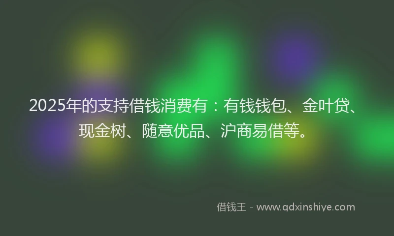 2025年的支持借钱消费有：有钱钱包、金叶贷、现金树、随意优品、沪商易借等。
