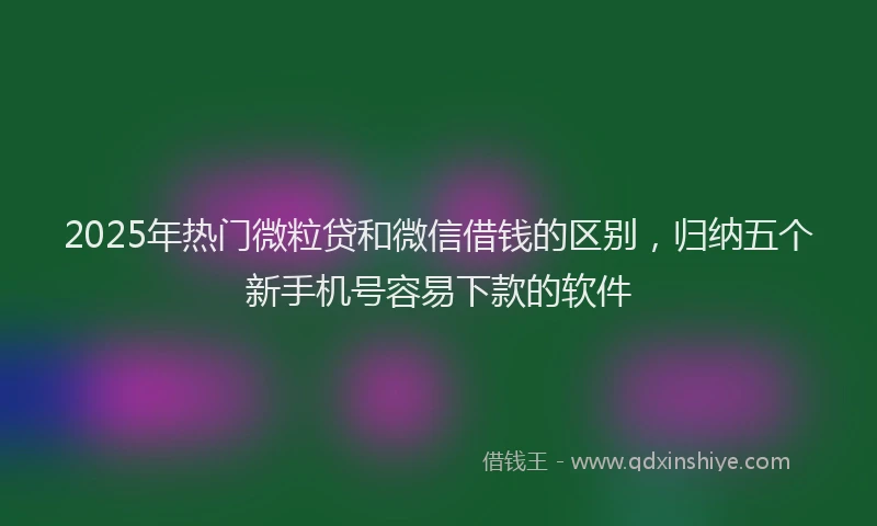 2025年热门微粒贷和微信借钱的区别，归纳五个新手机号容易下款的软件