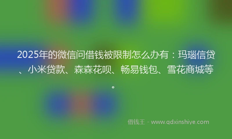 2025年的微信问借钱被限制怎么办有：玛瑙信贷、小米贷款、森森花呗、畅易钱包、雪花商城等。
