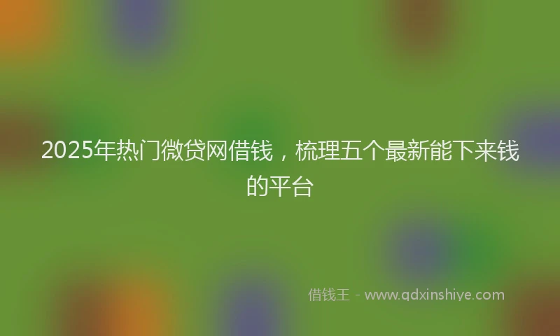 2025年热门微贷网借钱，梳理五个最新能下来钱的平台