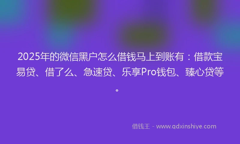 2025年的微信黑户怎么借钱马上到账有：借款宝易贷、借了么、急速贷、乐享Pro钱包、臻心贷等。