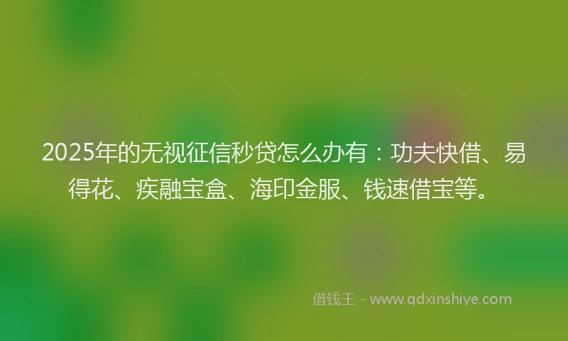 2025年的无视征信秒贷怎么办有：功夫快借、易得花、疾融宝盒、海印金服、钱速借宝等。