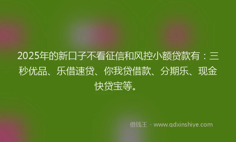 2025年的新口子不看征信和风控小额贷款有：三秒优品、乐借速贷、你我贷借款、分期乐、现金快贷宝等。