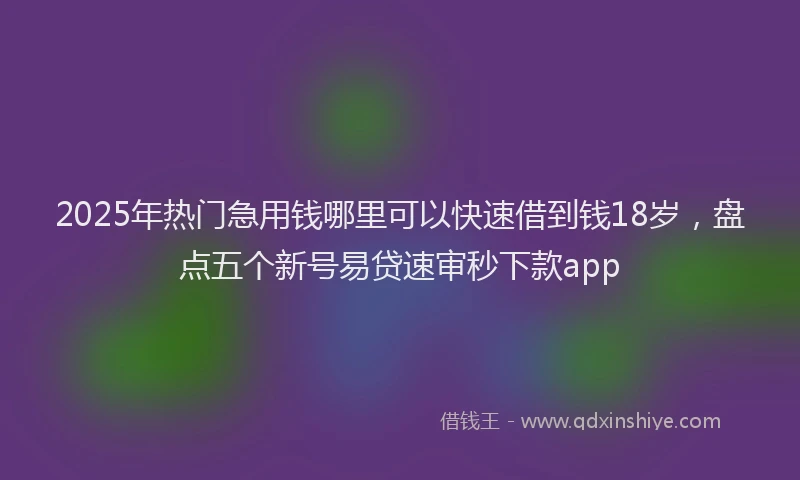 2025年热门急用钱哪里可以快速借到钱18岁，盘点五个新号易贷速审秒下款app