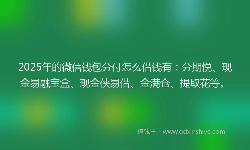 2025年的微信钱包分付怎么借钱有：分期悦、现金易融宝盒、现金侠易借、金满仓、提取花等。