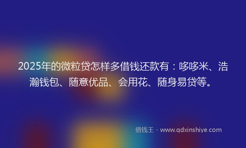 2025年的微粒贷怎样多借钱还款有：哆哆米、浩瀚钱包、随意优品、会用花、随身易贷等。