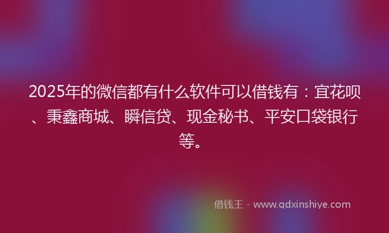 2025年的微信都有什么软件可以借钱有：宜花呗、秉鑫商城、瞬信贷、现金秘书、平安口袋银行等。