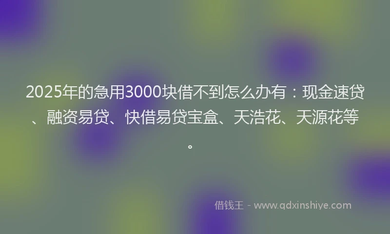 2025年的急用3000块借不到怎么办有：现金速贷、融资易贷、快借易贷宝盒、天浩花、天源花等。