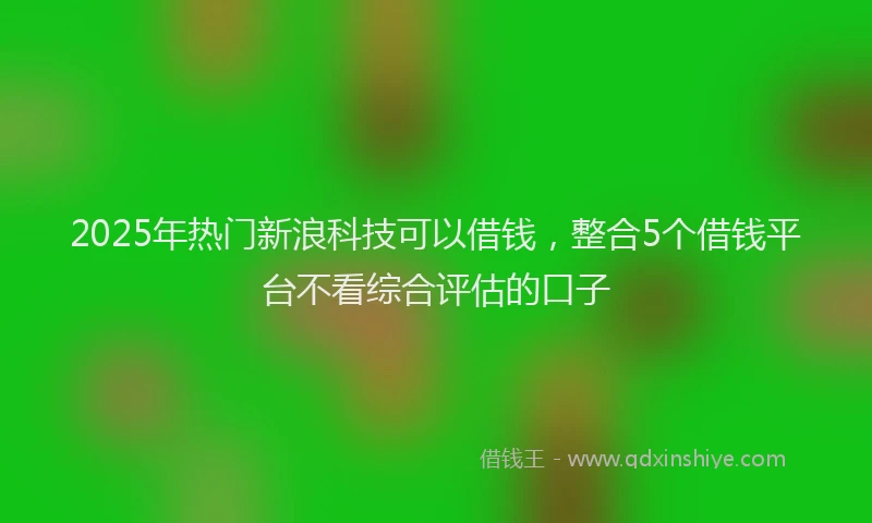 2025年热门新浪科技可以借钱，整合5个借钱平台不看综合评估的口子