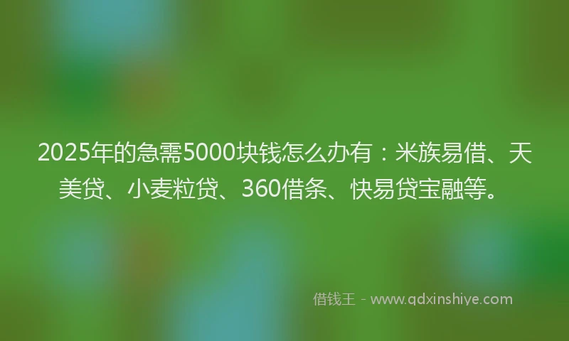 2025年的急需5000块钱怎么办有：米族易借、天美贷、小麦粒贷、360借条、快易贷宝融等。