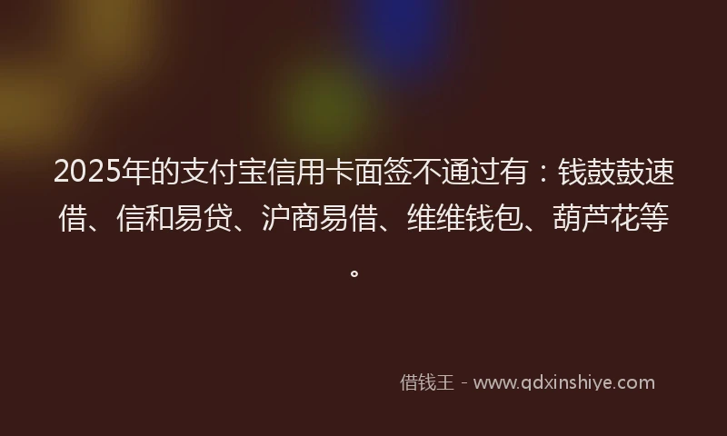2025年的支付宝信用卡面签不通过有：钱鼓鼓速借、信和易贷、沪商易借、维维钱包、葫芦花等。