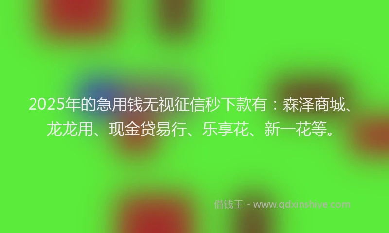 2025年的急用钱无视征信秒下款有：森泽商城、龙龙用、现金贷易行、乐享花、新一花等。