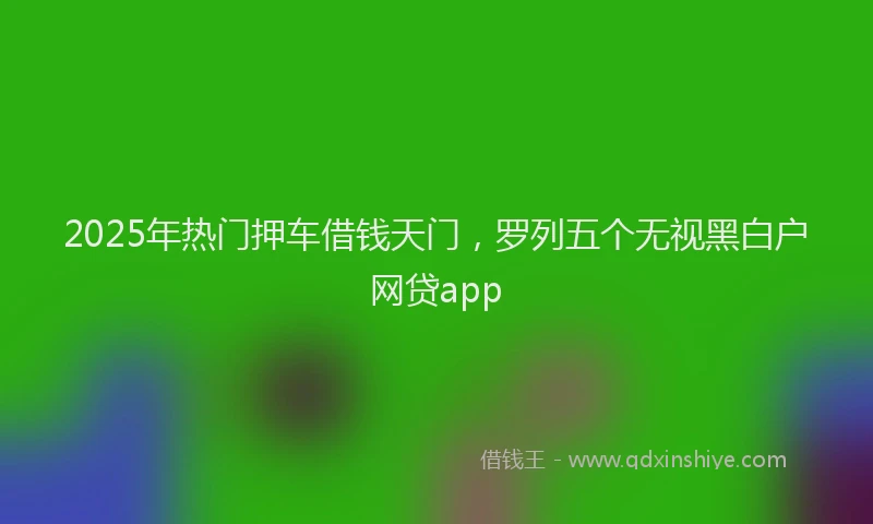 2025年热门押车借钱天门，罗列五个无视黑白户网贷app