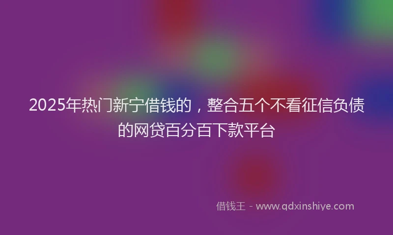 2025年热门新宁借钱的，整合五个不看征信负债的网贷百分百下款平台