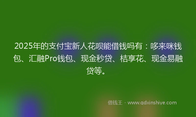 2025年的支付宝新人花呗能借钱吗有：哆来咪钱包、汇融Pro钱包、现金秒贷、桔享花、现金易融贷等。