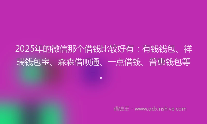 2025年的微信那个借钱比较好有：有钱钱包、祥瑞钱包宝、森森借呗通、一点借钱、普惠钱包等。