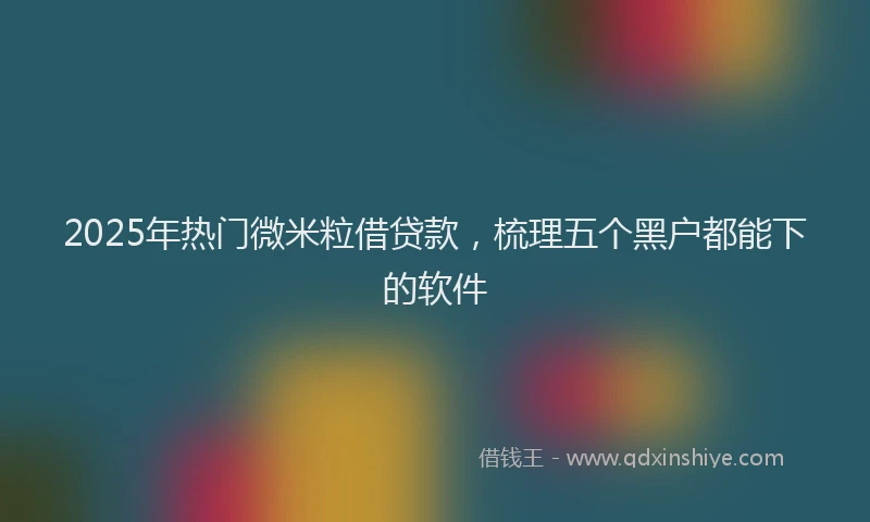 2025年热门微米粒借贷款，梳理五个黑户都能下的软件