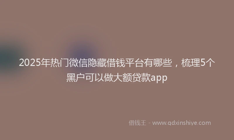 2025年热门微信隐藏借钱平台有哪些，梳理5个黑户可以做大额贷款app