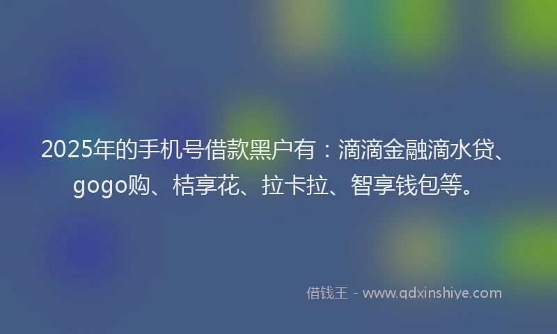 2025年的手机号借款黑户有：滴滴金融滴水贷、gogo购、桔享花、拉卡拉、智享钱包等。