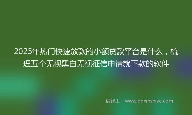 2025年热门快速放款的小额贷款平台是什么，梳理五个无视黑白无视征信申请就下款的软件