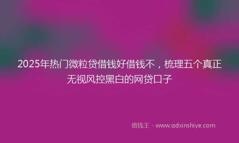 2025年热门微粒贷借钱好借钱不，梳理五个真正无视风控黑白的网贷口子