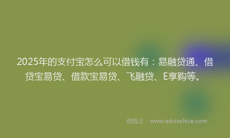 2025年的支付宝怎么可以借钱有：易融贷通、借贷宝易贷、借款宝易贷、飞融贷、E享购等。