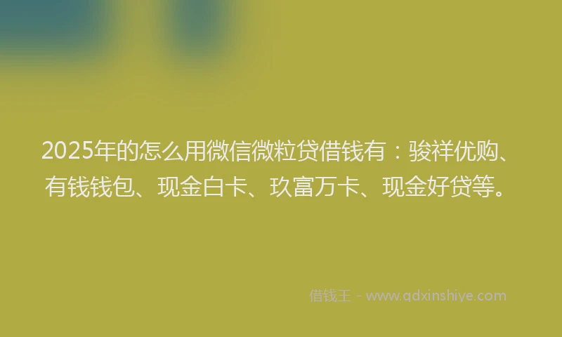 2025年的怎么用微信微粒贷借钱有：骏祥优购、有钱钱包、现金白卡、玖富万卡、现金好贷等。