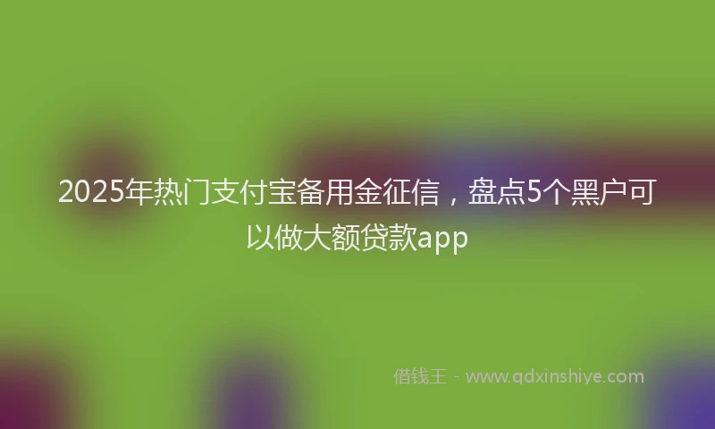 2025年热门支付宝备用金征信，盘点5个黑户可以做大额贷款app