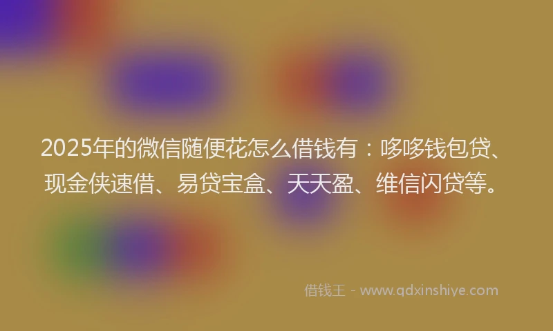 2025年的微信随便花怎么借钱有：哆哆钱包贷、现金侠速借、易贷宝盒、天天盈、维信闪贷等。