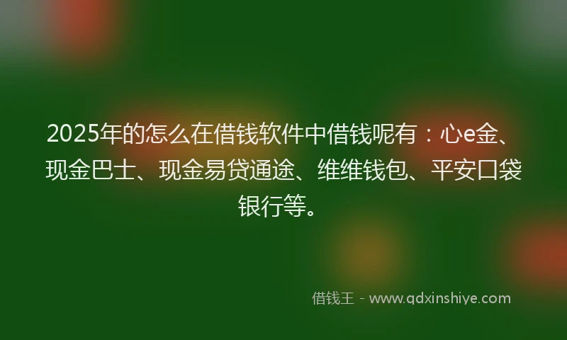 2025年的怎么在借钱软件中借钱呢有：心e金、现金巴士、现金易贷通途、维维钱包、平安口袋银行等。