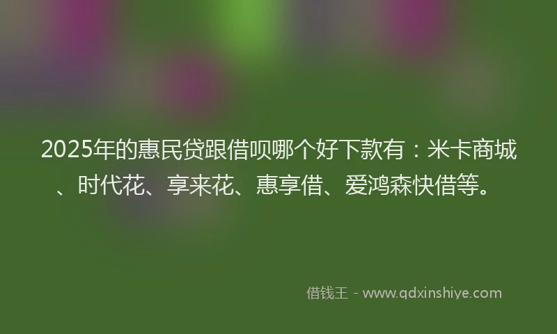 2025年的惠民贷跟借呗哪个好下款有：米卡商城、时代花、享来花、惠享借、爱鸿森快借等。