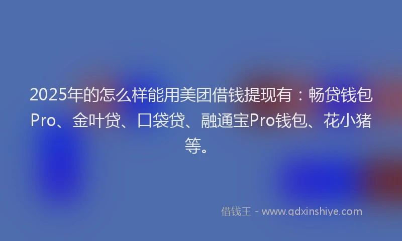 2025年的怎么样能用美团借钱提现有：畅贷钱包Pro、金叶贷、口袋贷、融通宝Pro钱包、花小猪等。