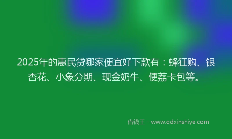 2025年的惠民贷哪家便宜好下款有：蜂狂购、银杏花、小象分期、现金奶牛、便荔卡包等。