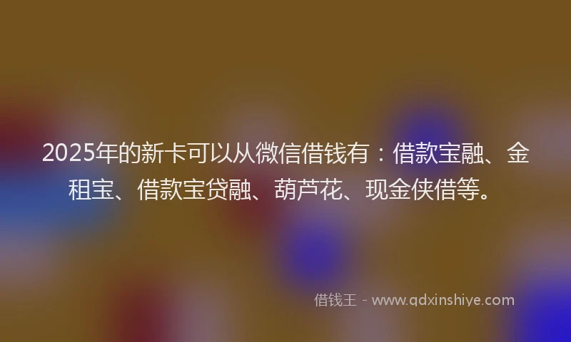 2025年的新卡可以从微信借钱有：借款宝融、金租宝、借款宝贷融、葫芦花、现金侠借等。
