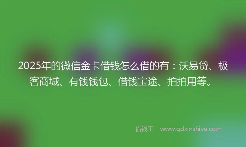 2025年的微信金卡借钱怎么借的有：沃易贷、极客商城、有钱钱包、借钱宝途、拍拍用等。