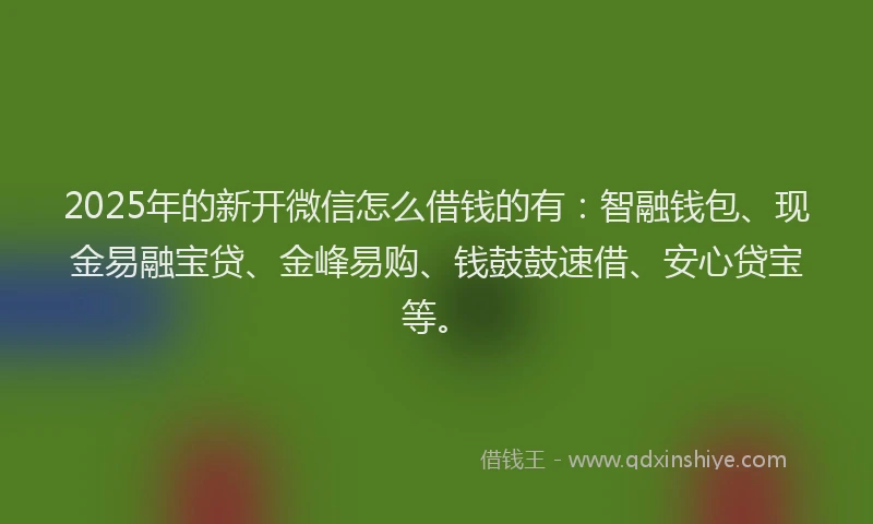 2025年的新开微信怎么借钱的有：智融钱包、现金易融宝贷、金峰易购、钱鼓鼓速借、安心贷宝等。
