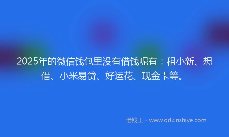 2025年的微信钱包里没有借钱呢有：租小新、想借、小米易贷、好运花、现金卡等。