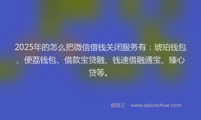 2025年的怎么把微信借钱关闭服务有：琥珀钱包、便荔钱包、借款宝贷融、钱速借融通宝、臻心贷等。