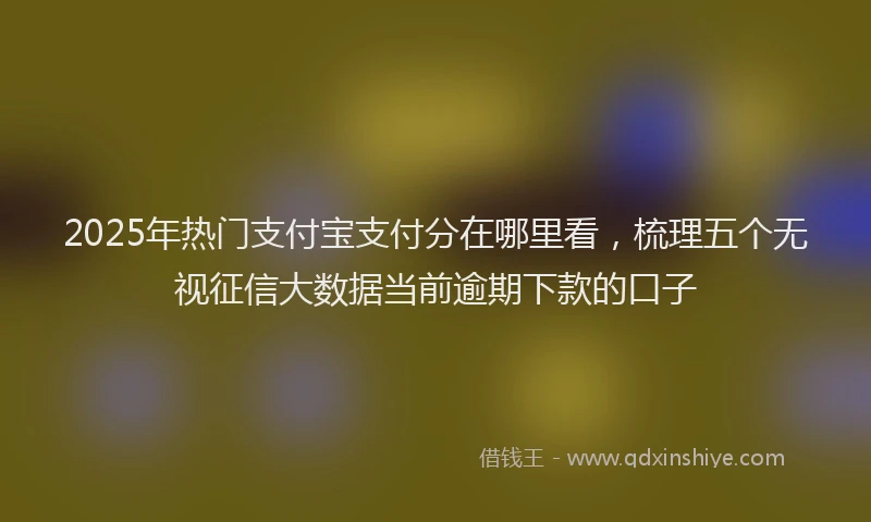 2025年热门支付宝支付分在哪里看，梳理五个无视征信大数据当前逾期下款的口子