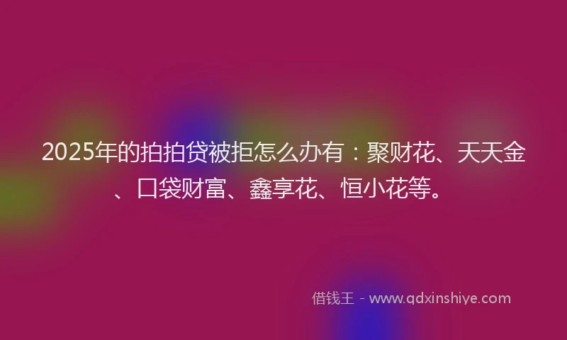 2025年的拍拍贷被拒怎么办有：聚财花、天天金、口袋财富、鑫享花、恒小花等。