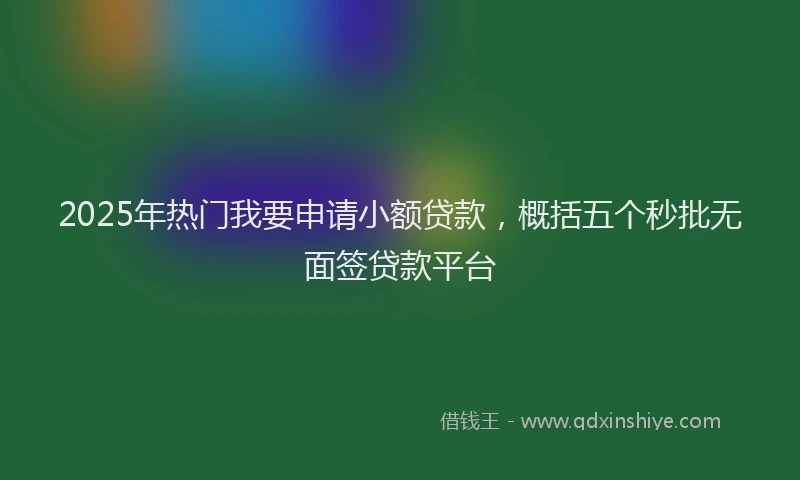 2025年热门我要申请小额贷款，概括五个秒批无面签贷款平台